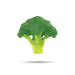 Wall Mural - Broccoli abstract isolated on a white backgrounds