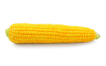Fresh Raw Corn On White Background. Isolated