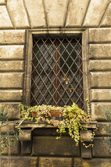 Wall Mural - Old window with bars in Tuscany