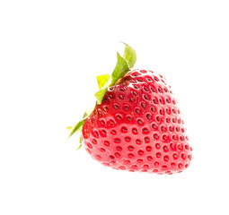 Canvas Print - Strawberry