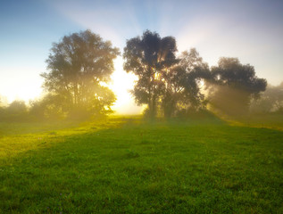 Aufkleber - Foggy medow at susrise