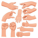 Fototapeta Dinusie - Set of several hands