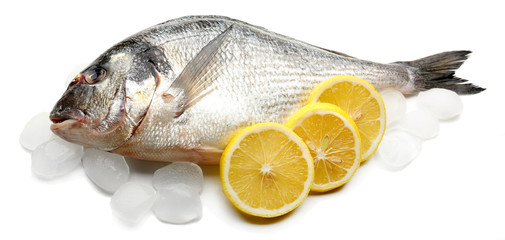 Poster - Fresh fish with ice isolated on white