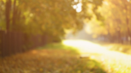 Wall Mural - defocused background of autumn time