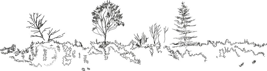 Sketch of landscape