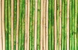 grünes und braunes Bambusrohr Hintergrund