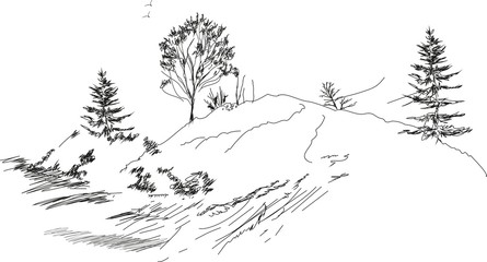 sketch of landscape