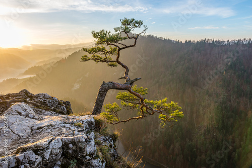 Fototapeta na wymiar Sokolica in Pieniny Poland