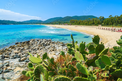 Fotografía  Cactus plants at Cala Sinzias bay and sea view, Sardinia island