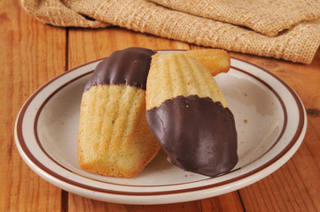 Wall Mural - Chocolate dipped Madeleines