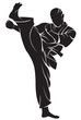 Karate fighter. Vector silhouette, isolated on white