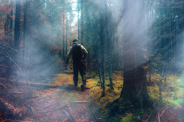 Wall Mural - traveler in autumn mystical forest view from the back