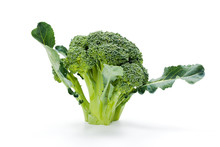 Ripe Broccoli Crop
