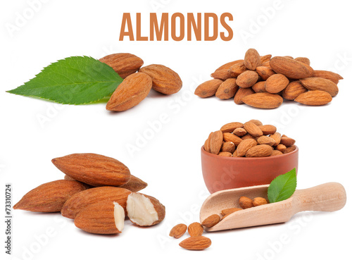 set of four compositions almonds isolated Poster