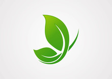 Eco Logo Green Butterfly Vector