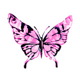 Fototapeta Motyle - butterflies design