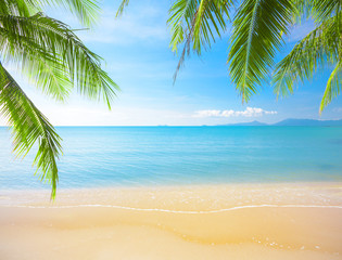 Wall Mural - palm and tropical beach