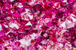 Closeup photo of many small ruby and diamond stones