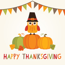 Happy Thanksgiving Card With Owl In Pilgrim Hat On Pumpkins