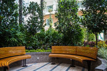 Curved Wood Benches In Garden