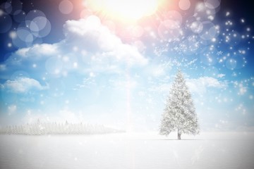 Poster - Composite image of snowflakes