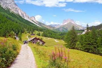 Wall Mural - Chalet et prairie des Alpes