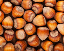 Background Of Dried Whole Hazel Nuts Close-up