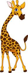 Wall Mural - Cute giraffe cartoon