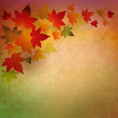 Poster - Abstract autumn vintage background