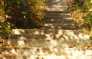 Sticker - Stone steps in autumn park