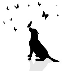 Wall Mural - Vector silhouette of a dog.