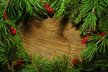 christmas tree branches background