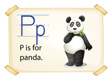 A Letter P For Panda