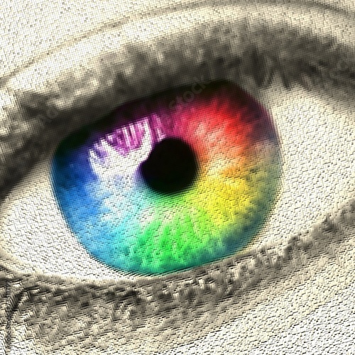 Naklejka dekoracyjna Sinnesorgan Auge