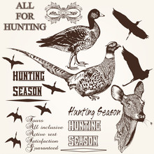 Set Of Vector Hand Drawn Animals Hunting Season Design