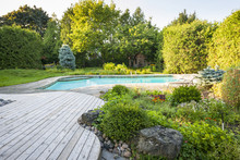 Garden And Swimming Pool In Backyard