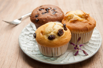 muffins