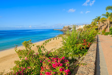 Tropical Flowers On Morro Jable Beach Promenade, Fuerteventura
