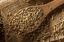Organic Dry Raw Rye Grain