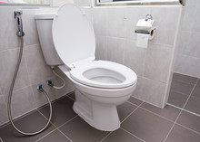 White Flush Toilet In Modern Bathroom Interior
