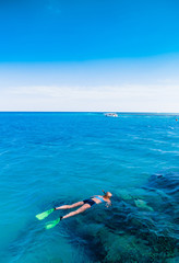 Wall Mural - Maldivian Snorkeling