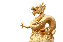 Giant Golden Chinese Dragon On Isolate Background