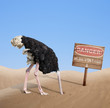 scared ostrich burying head in sand under danger sign