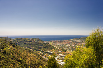 Wall Mural - Taggia