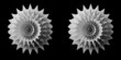 Solid 3D fractal stereo pair.