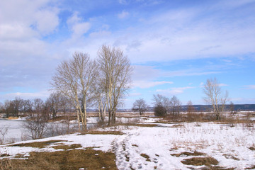 spring has come