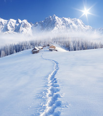 Wall Mural - Winter in the mountains