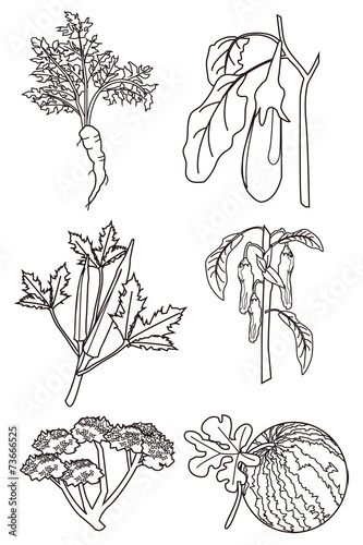 野菜塗り絵 Stock Illustration Adobe Stock