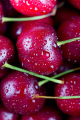 Wall Mural - wet cherries background