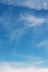 Wall Mural - Blue sky and white clouds over horizon.